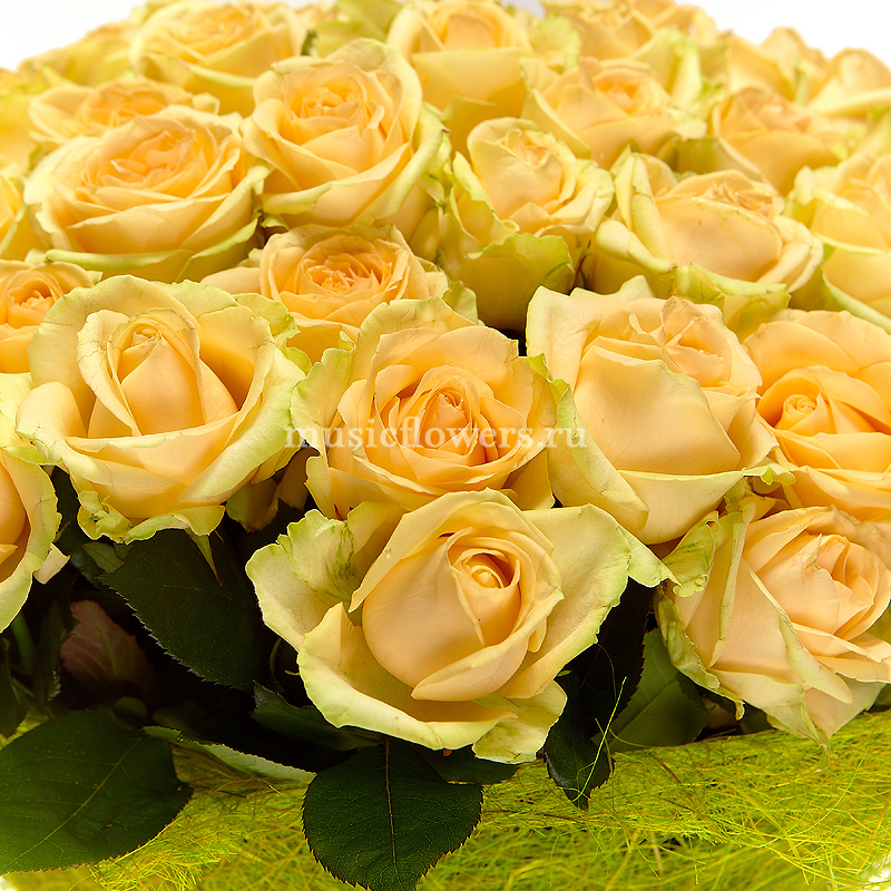 Красивые кремовые. Красивые кремовые розы. Шикарный букет кремовых роз. С днём рождения кремовые розы.