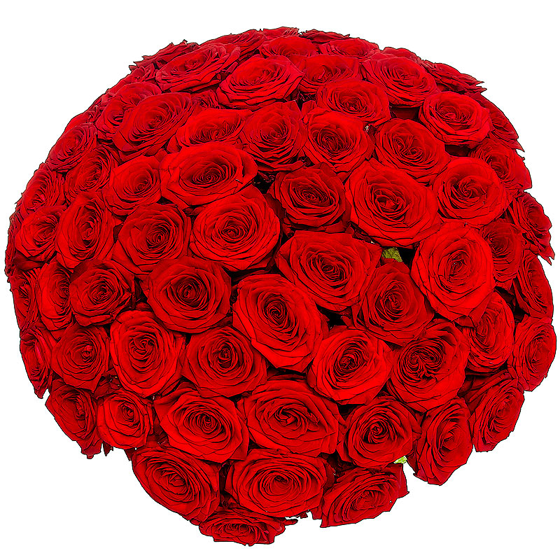 Gul yuzim. Шикарный букет роз. Красивые букеты роз большие. Букет красных роз.